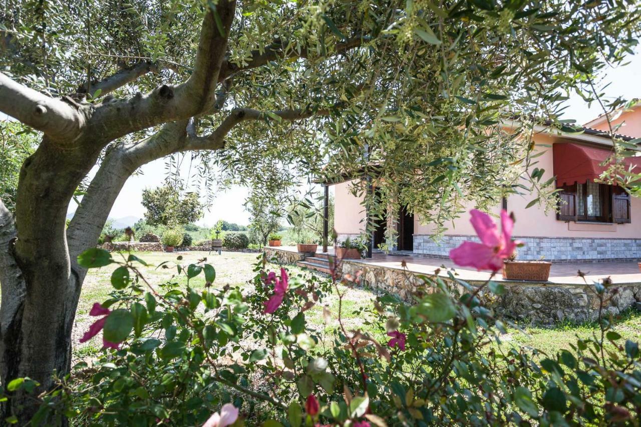 צ'רבטרי Agriturismo Casale Sasso מראה חיצוני תמונה